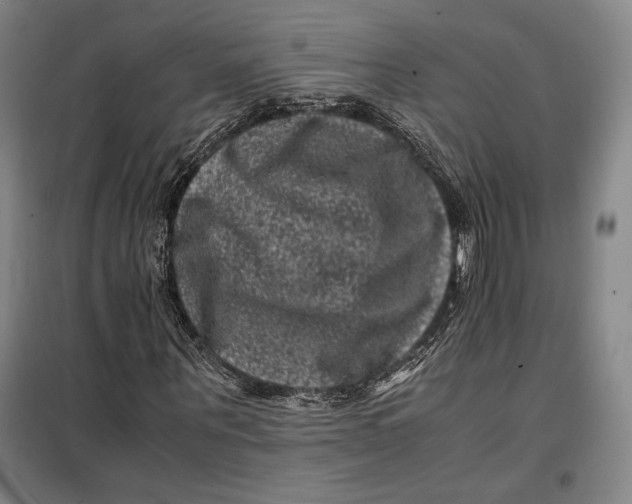 X0000099470867200805301554