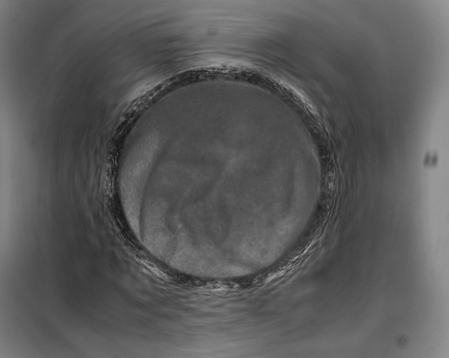 X0000099470869200805301554