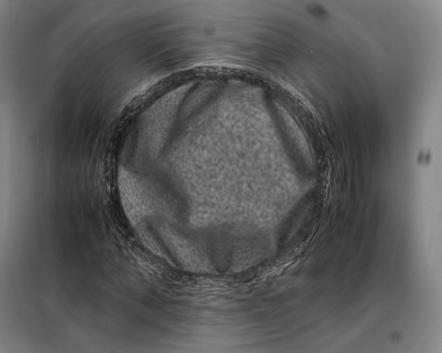 X0000099470870200805301554