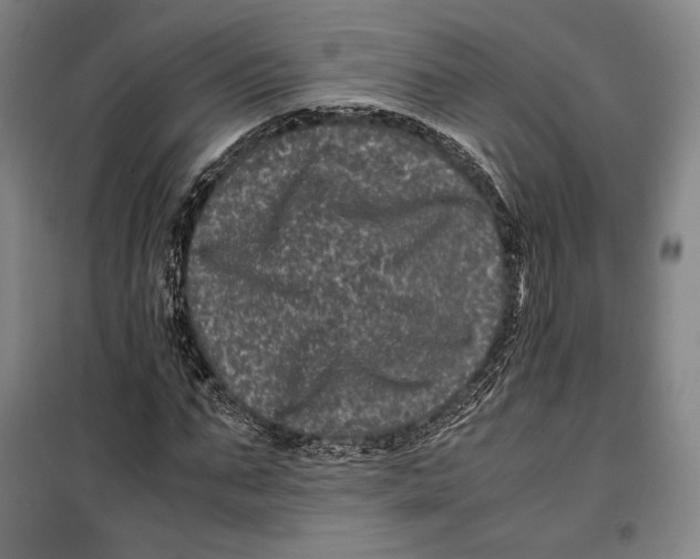 X0000099470871200805301554