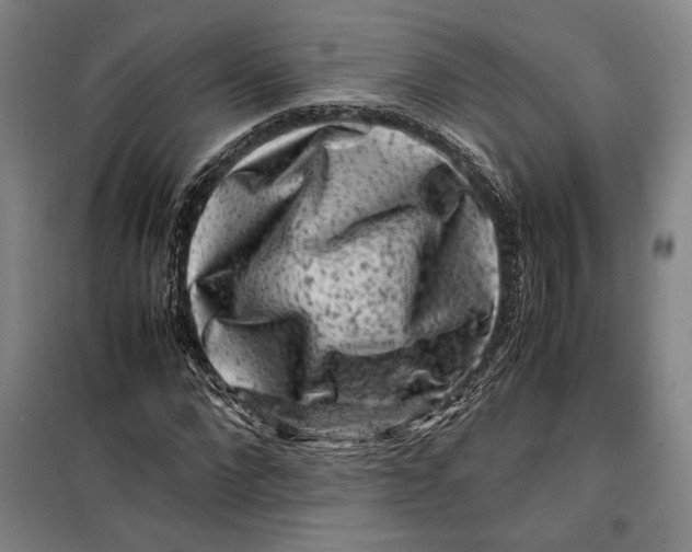 X0000099470872200805301554