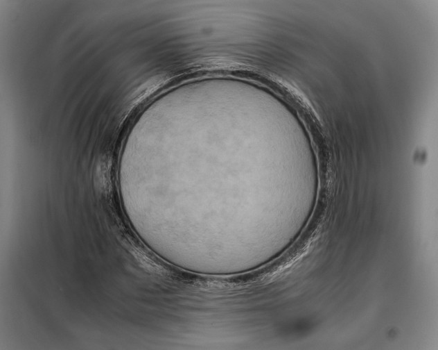 X0000099470873200805301554