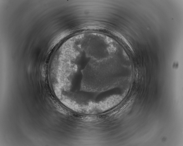 X0000099470874200805301554