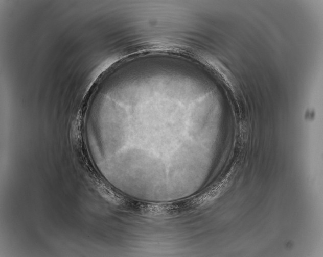 X0000099470875200805301554