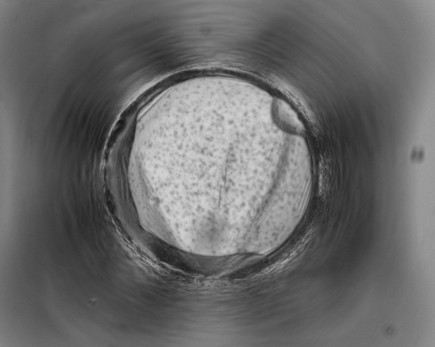 X0000099470876200805301554