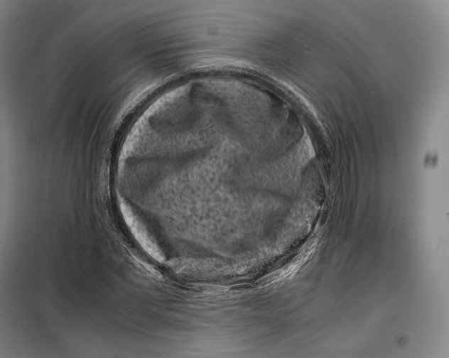 X0000099470877200805301554