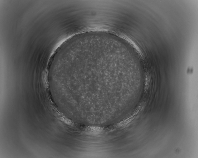 X0000099470878200805301554