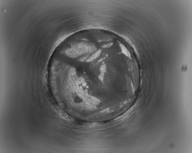 X0000099470879200805301554