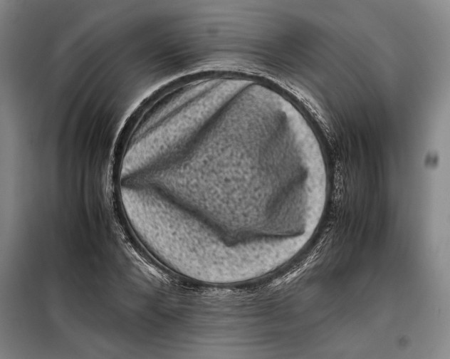 X0000099470880200805301554