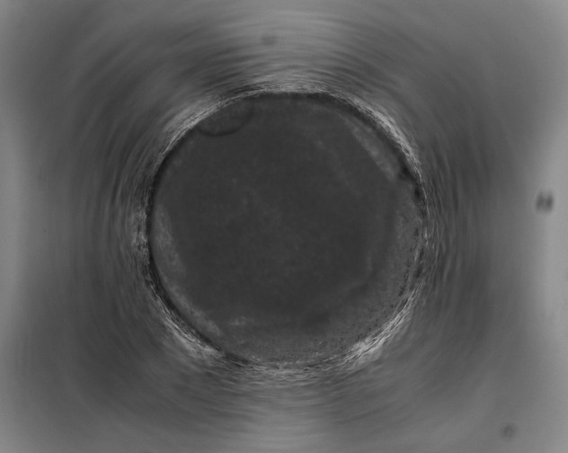 X0000099470881200805301554