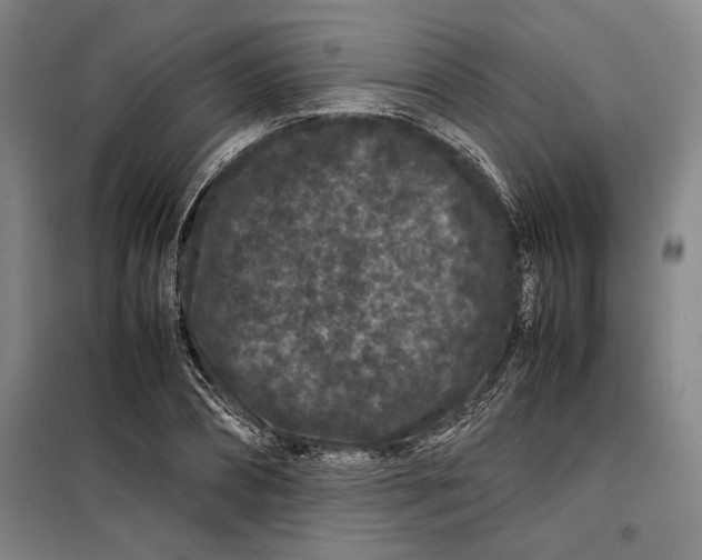 X0000099470882200805301554