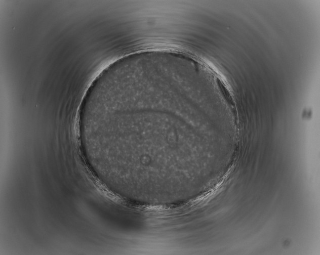 X0000099470883200805301554