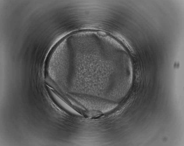 X0000099470884200805301554