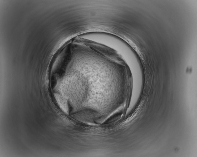 X0000099470885200805301554