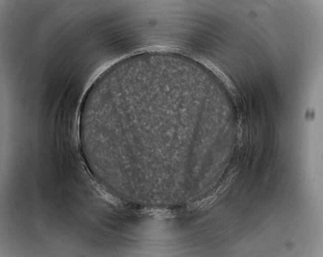 X0000099470886200805301554