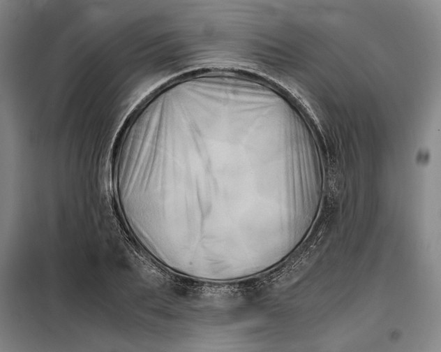 X0000099470887200805301554