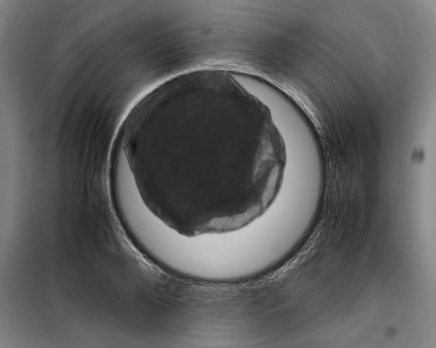 X0000099470888200805301554