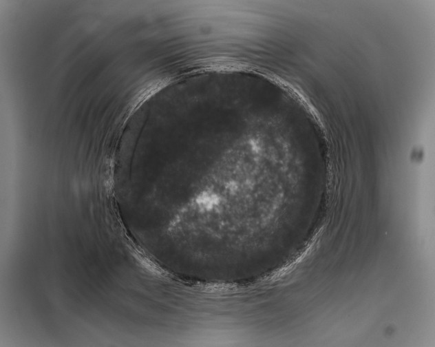 X0000099470889200805301554