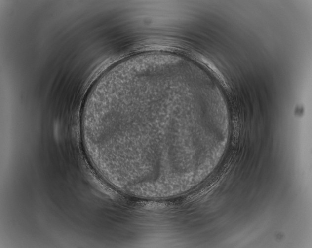 X0000099470890200805301554