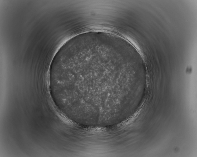 X0000099470891200805301554