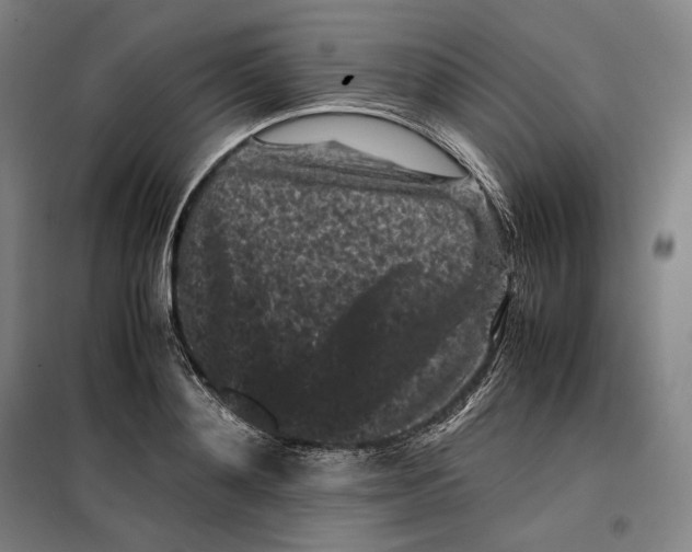 X0000099470892200805301554