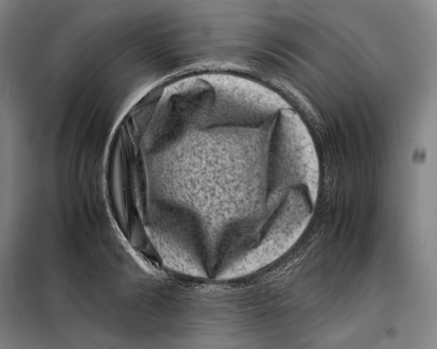 X0000099470894200805301554