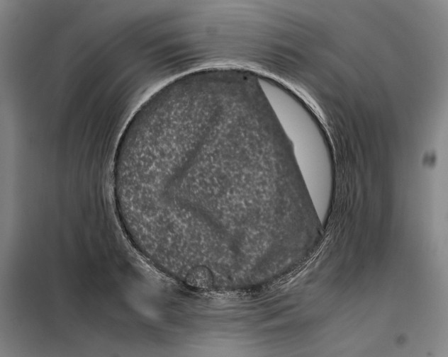 X0000099470895200805301554