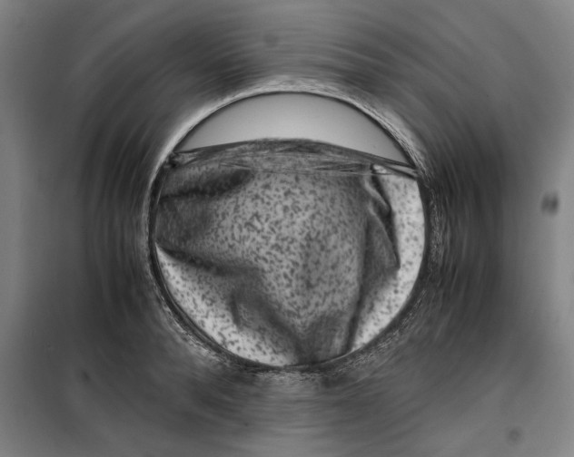 X0000099470896200805301554