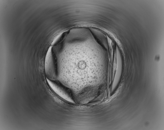 X0000099470897200805301554