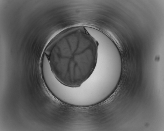 X0000099470900200805301553