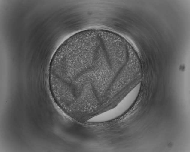 X0000099470903200805301553