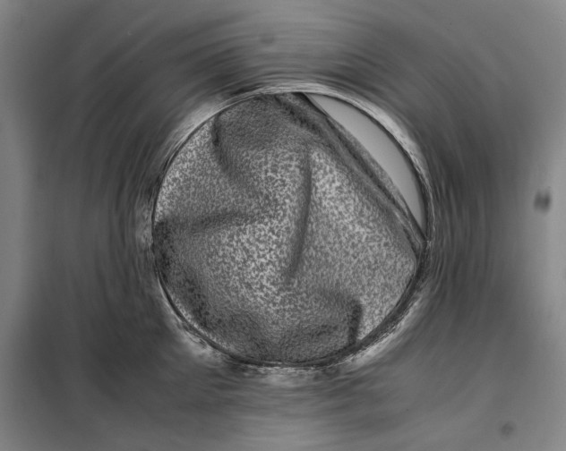 X0000099470905200805301553