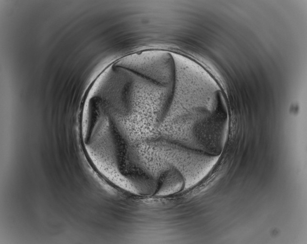 X0000099470906200805301553