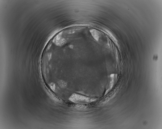 X0000099470907200805301553