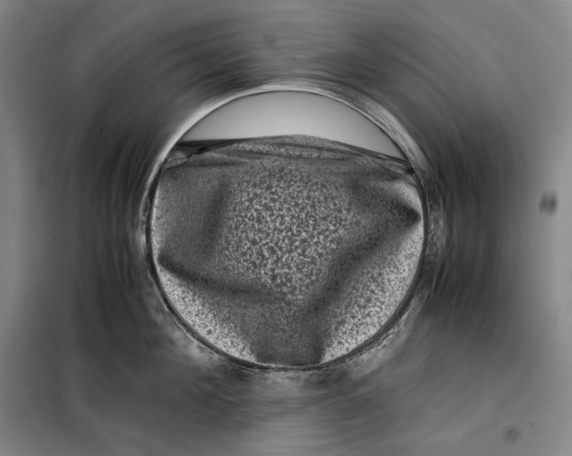 X0000099470908200805301553