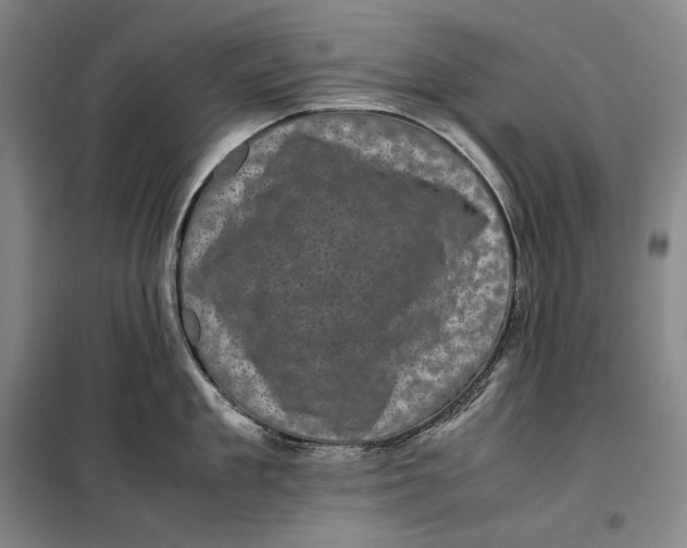 X0000099470909200805301553