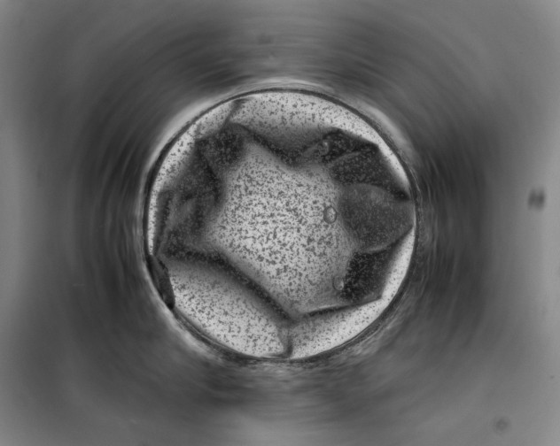 X0000099470910200805301553