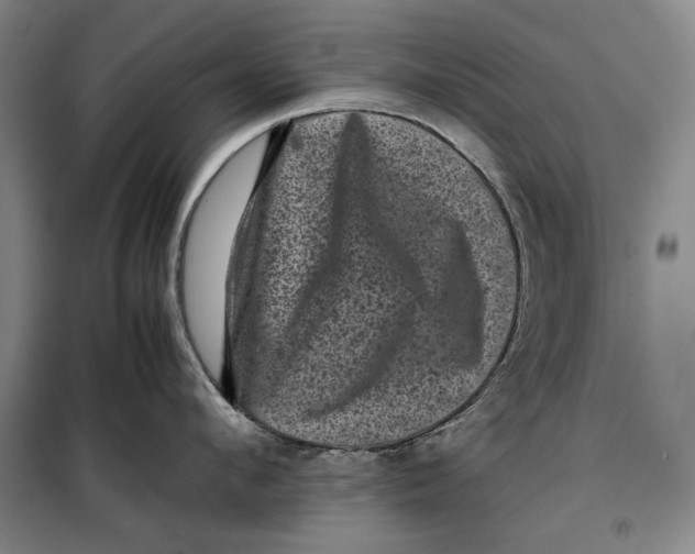 X0000099470912200805301553