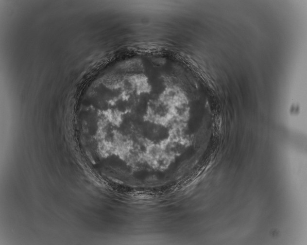 X0000099470913200805301553