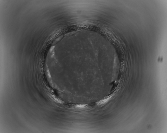 X0000099470916200805301553