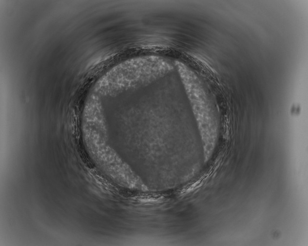 X0000099470917200805301553