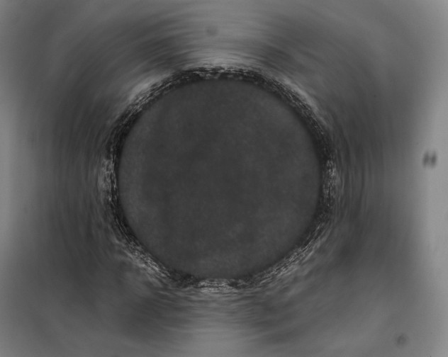 X0000099470918200805301553