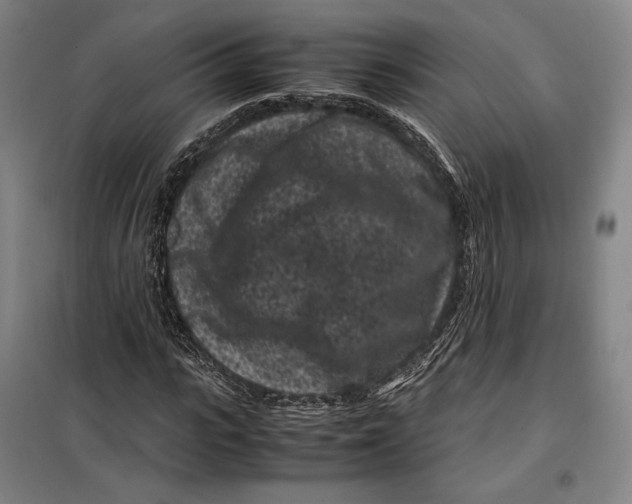 X0000099470919200805301553