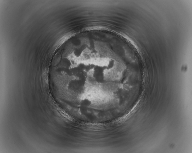 X0000099470921200805301553