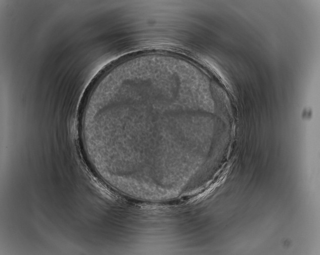 X0000099470924200805301553