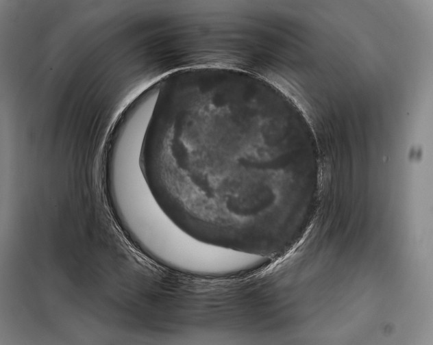 X0000099470925200805301553