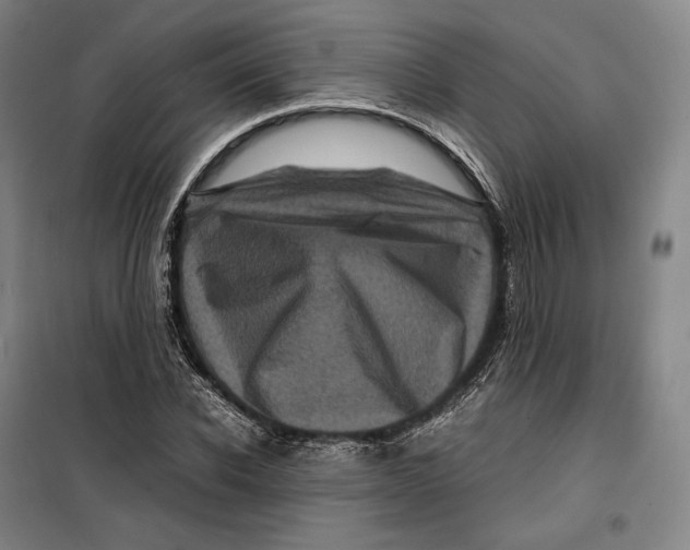 X0000099470926200805301553