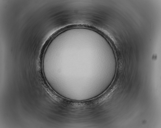 X0000099470927200805301553