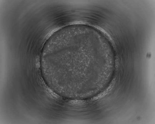 X0000099470929200805301553