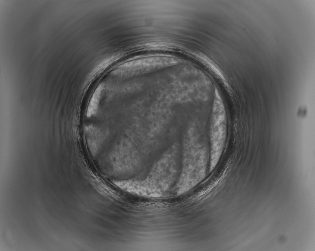 X0000099470930200805301553